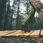 wood-nature-person-walking