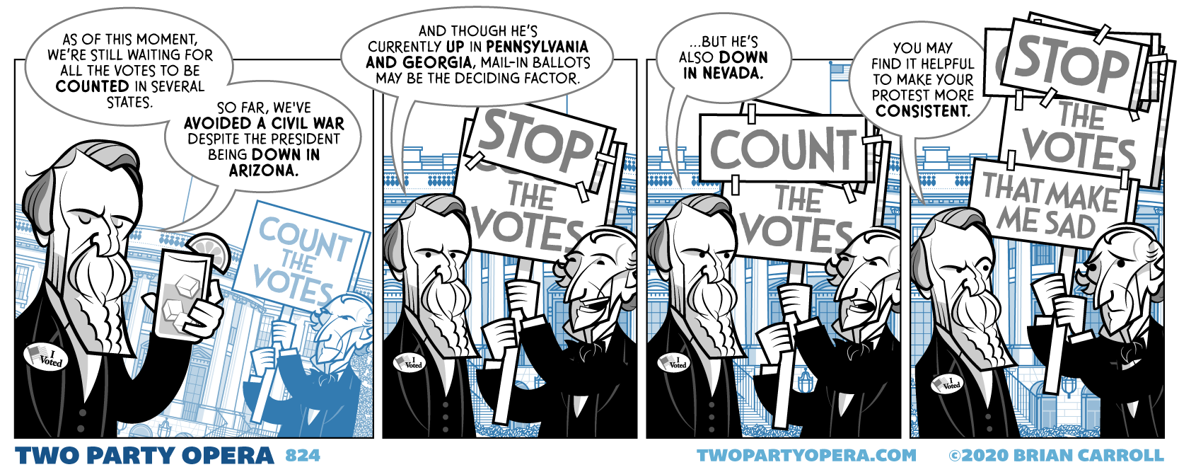 Count and/or Stop the Vote